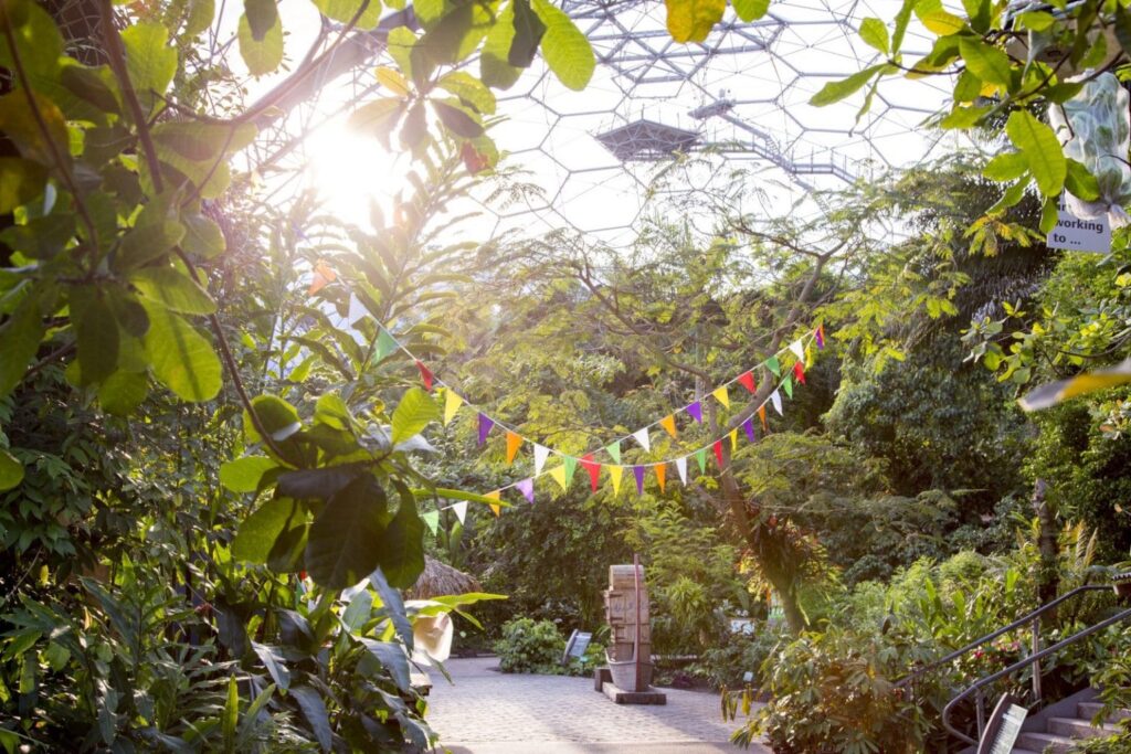 The Eden Project