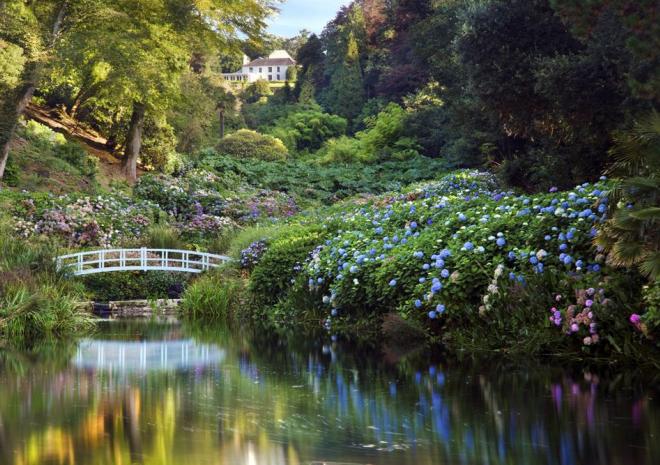 Bright colourful plants surrounding mallard pond with a small white bridge crossing the water